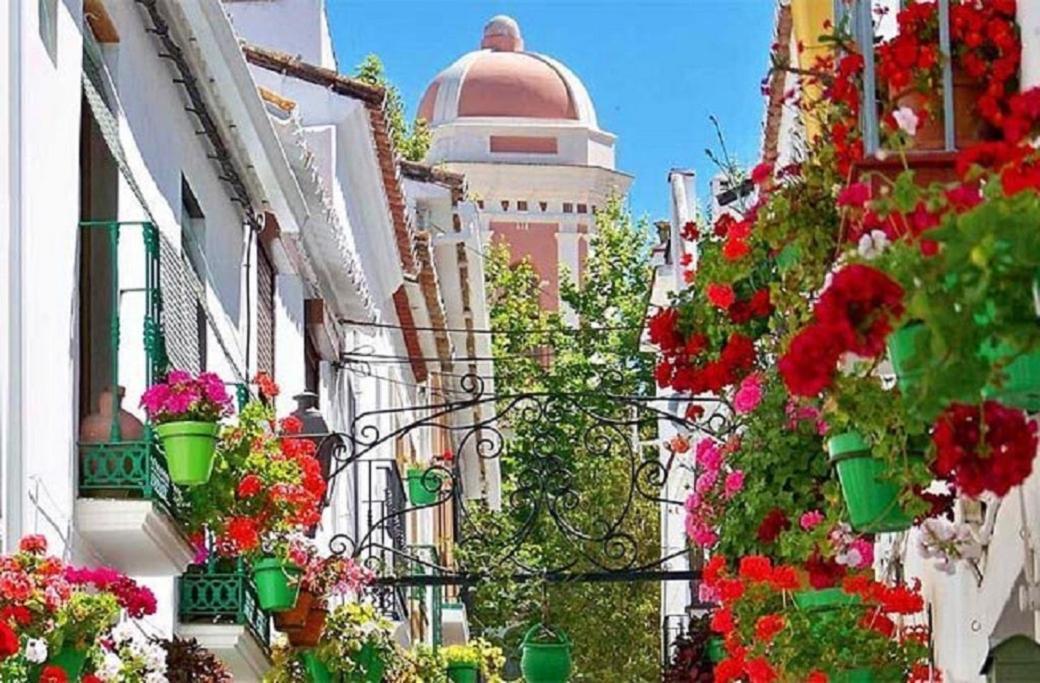 Apartamento Valle Golf Capitolio Estepona